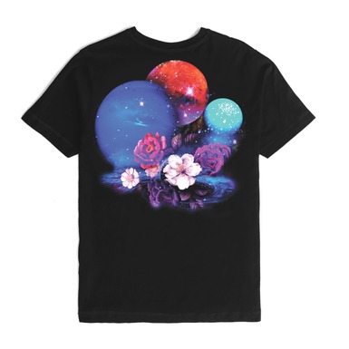 fvts003