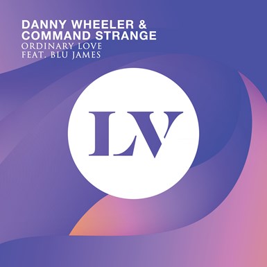 lv084dd