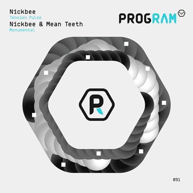 prgram091