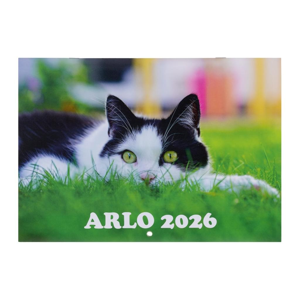 arlo2026