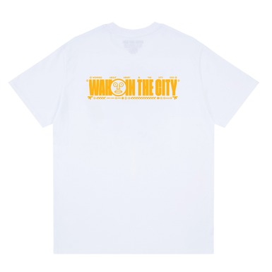 wahitctee01